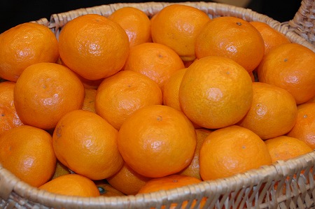 s-DSC_0845.jpg