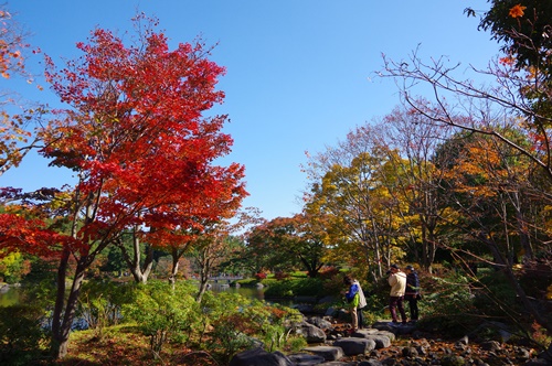 日本庭園にて