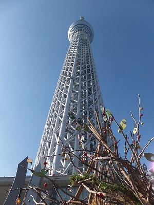 20141123スカイツリー