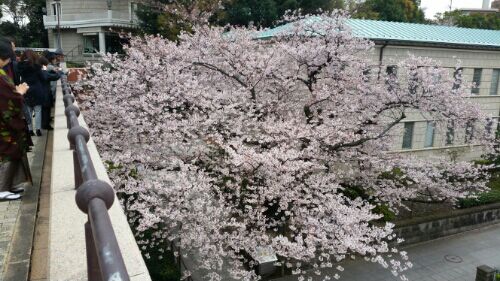 rblog-20160403131203-05.jpg