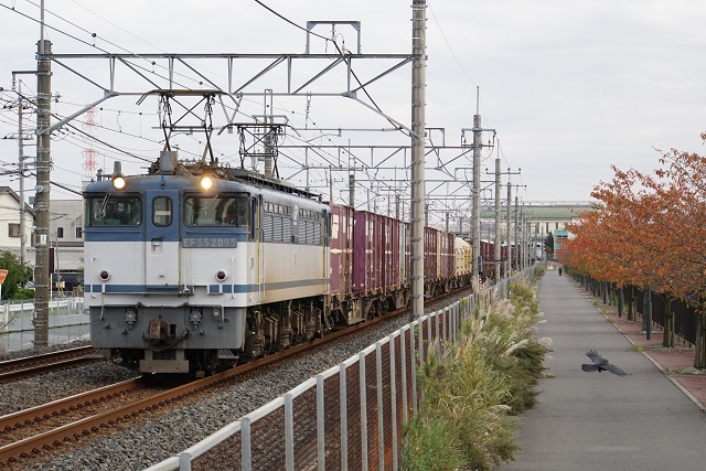 EF64 1052牽引 甲府ロングチキ工臨空返却 & EF81 134牽引 ケヨ209系 秋田配給5