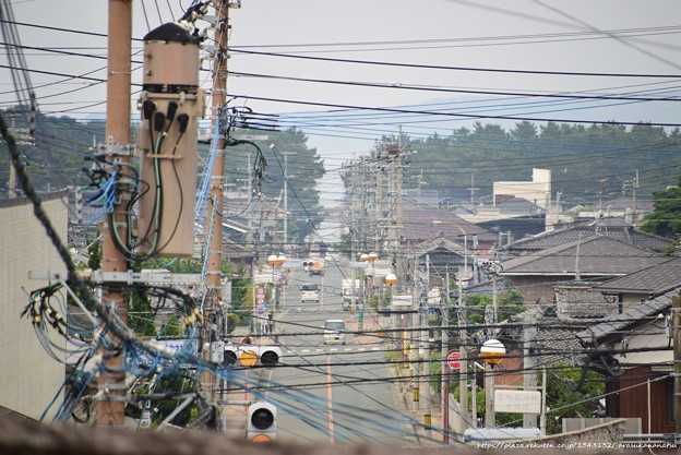 そしてみけにゃ編 猫のお話その36* | 今日の予定 - 楽天ブログ