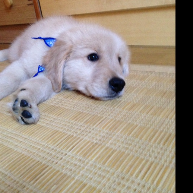 rblog-20131026175602-01.jpg