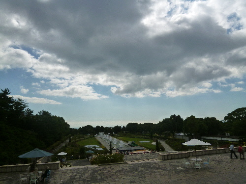 P1130388(1).JPG