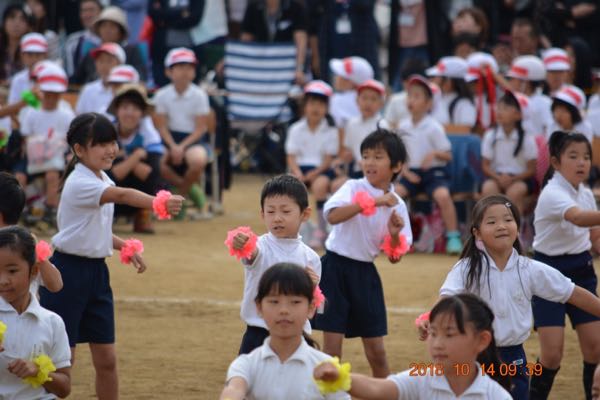 rblog-20181018224528-02.jpg