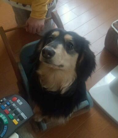 レオンちゃん.jpg