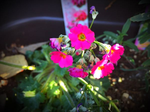 rblog-20151025172805-03.jpg