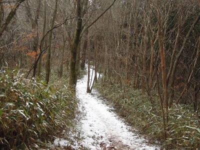 DSCN6369s.jpg