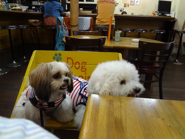 DSC00317.jpgクエスチョン.jpg