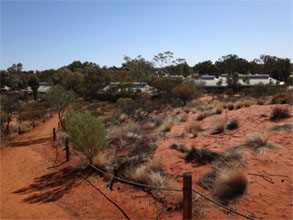 OZ720.jpg