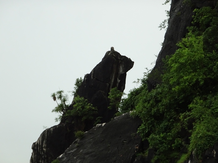 DSC09498_R.JPG