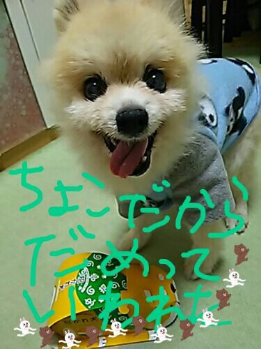 rblog-20180131224355-01.jpg
