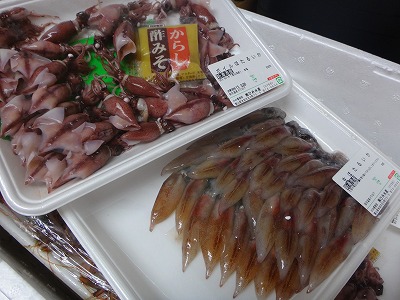 DSC04129.jpg