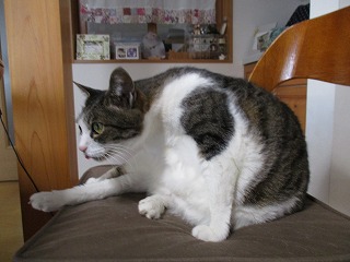 IMG_6607ss.jpg