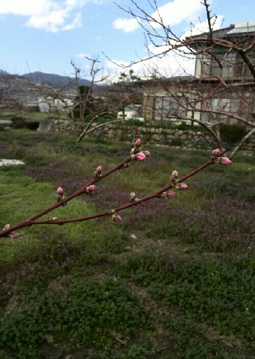 rblog-20150323134902-00.jpg