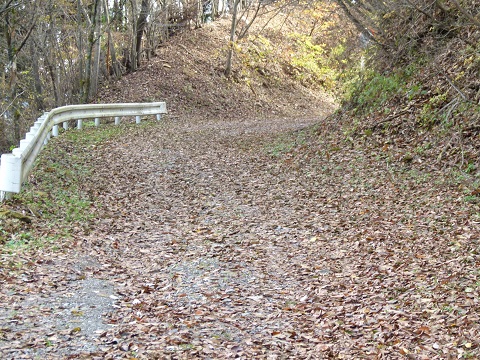 P1120485.JPG