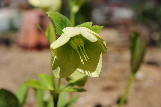 2011.4.14 009.JPG