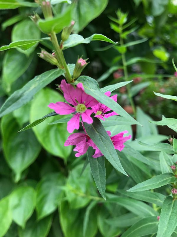 rblog-20180531150201-08.jpg