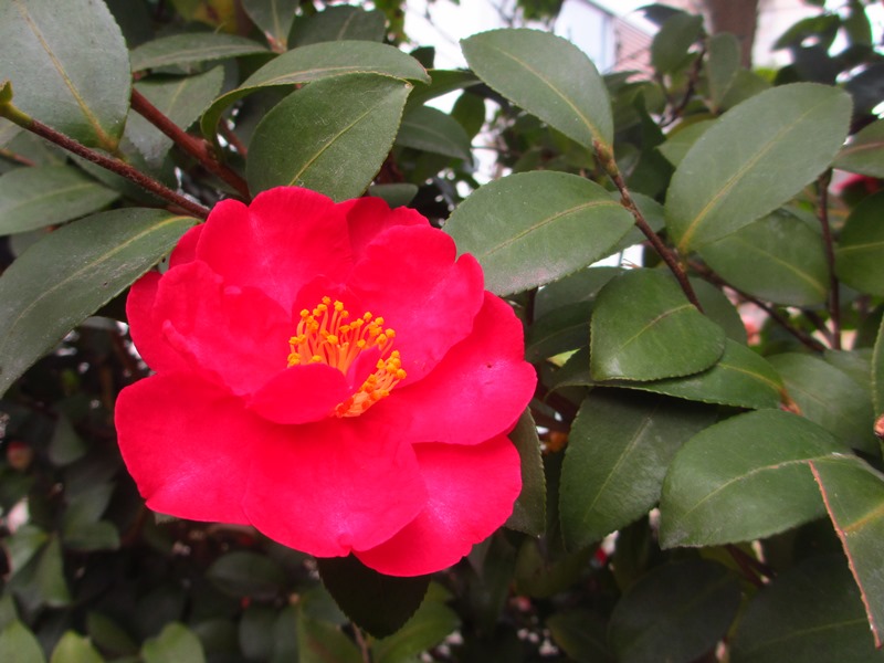 2015.1.19_005.jpg