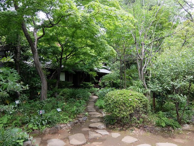 林芙美子記念館1670.jpg