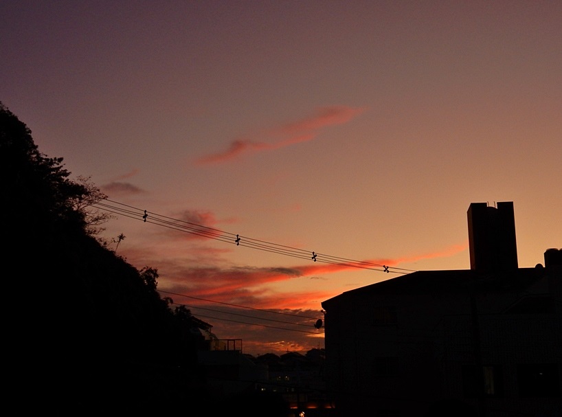 夕暮れ1.JPG