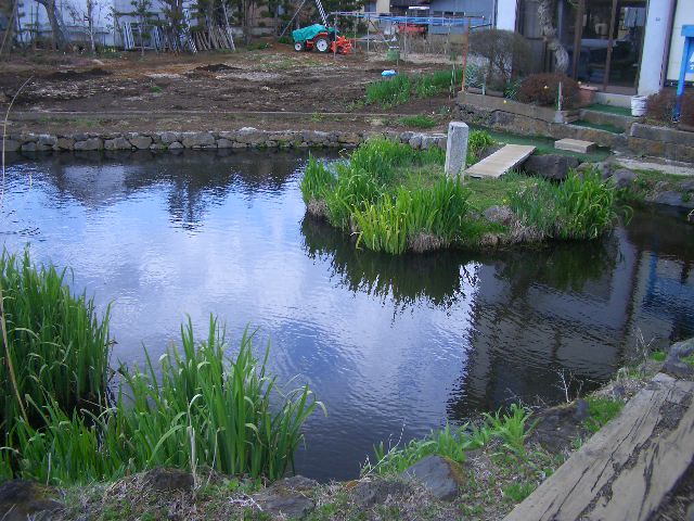 平成24年4月24日　忍野八海 009.JPG
