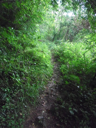 休山登山道近道