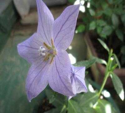 不眠がトラブルを引き起こす 木昌1777のブログ 楽天ブログ