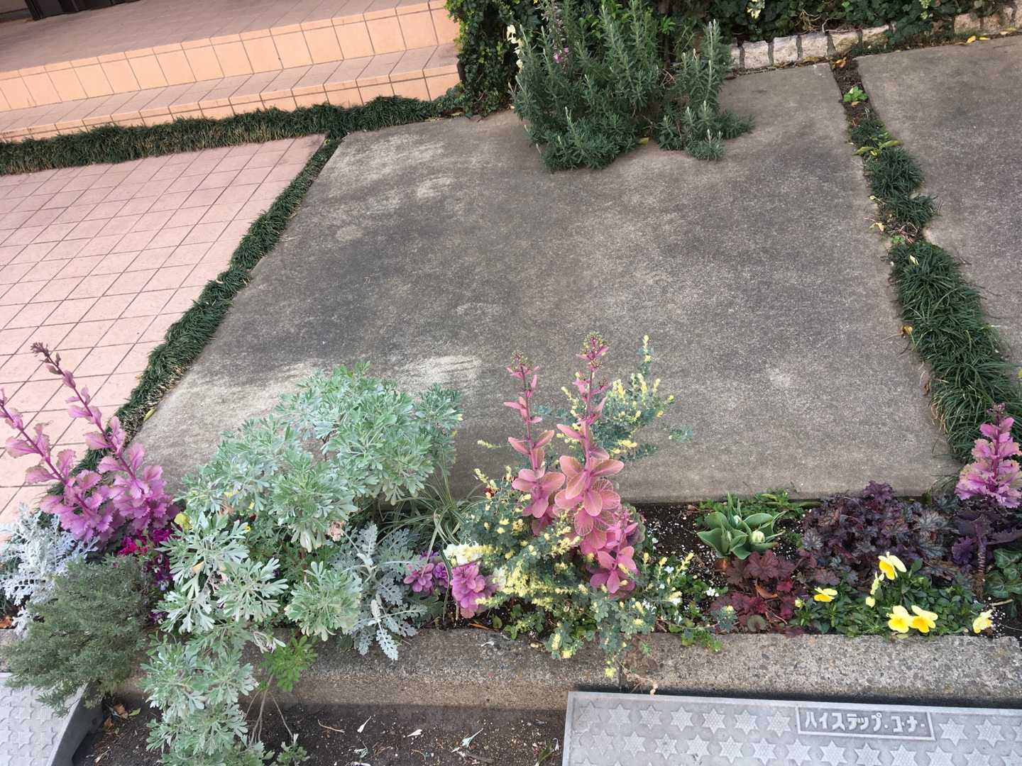 玄関花壇の現在 Jupiterのシェードガーデン 楽天ブログ