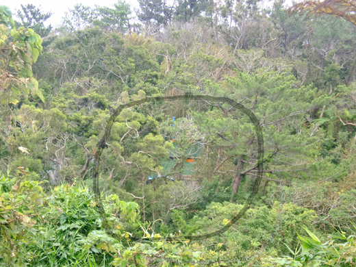 CIMG5457山小屋　遠望　プログ投稿.jpg