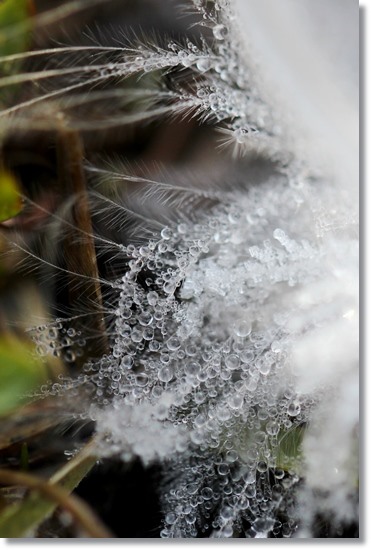 大野湊緑地公園-25 羽-3 15.1.21