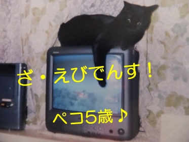 20121116_5.jpg