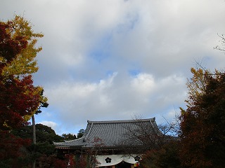 IMG_2764ss.jpg