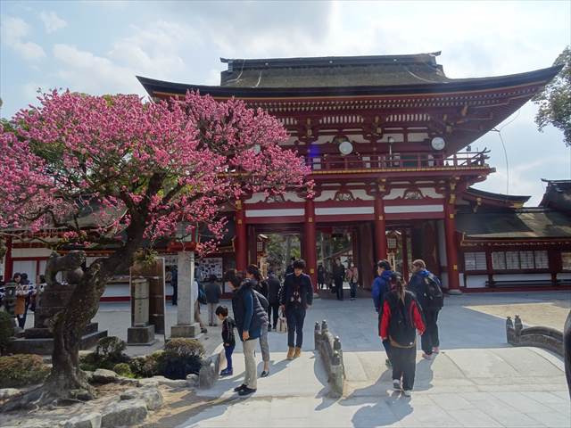 DSC03198_R.JPG