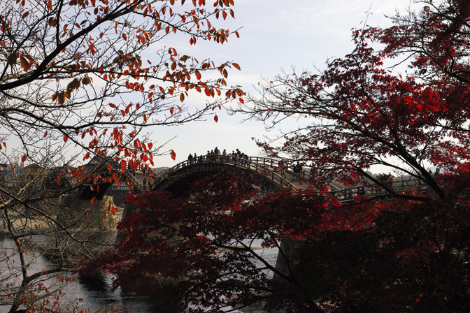 紅葉と橋.jpg