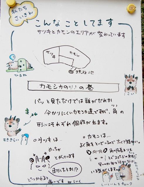 ホワイトボード2