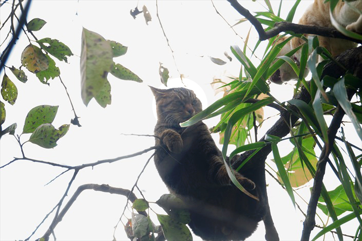 3.DSC00875 - コピーA.jpg