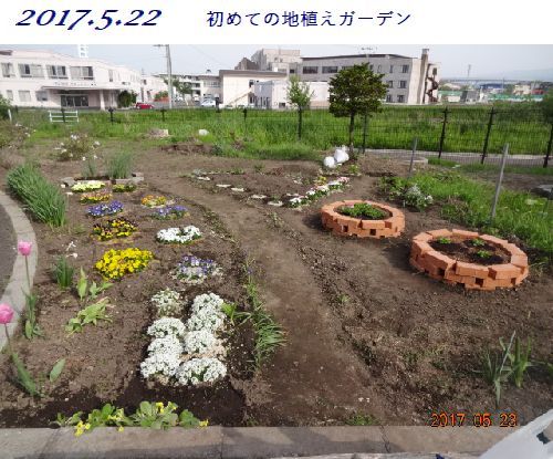 地植えガーデン4年間の変化 小さな花宇宙 そして それから 老いふたりの小宇宙 楽天ブログ