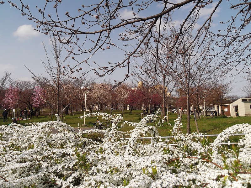 DSCF1333.jpg