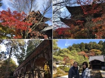 161126南禅寺