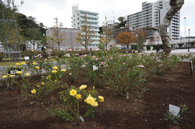 ヴェルニー公園
