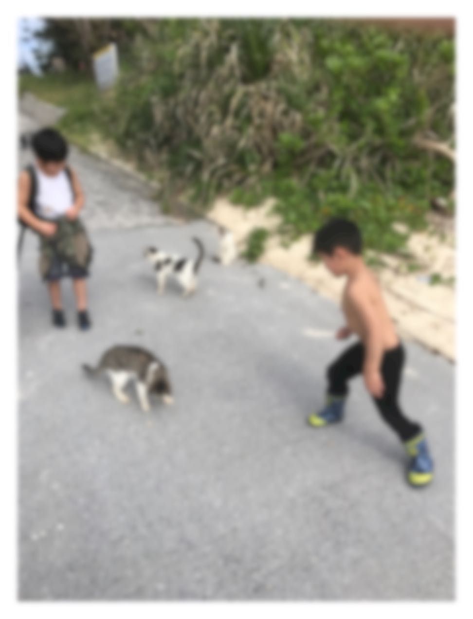 rblog-20190107131203-01.jpg