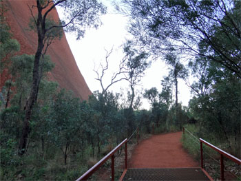 OZ907.jpg