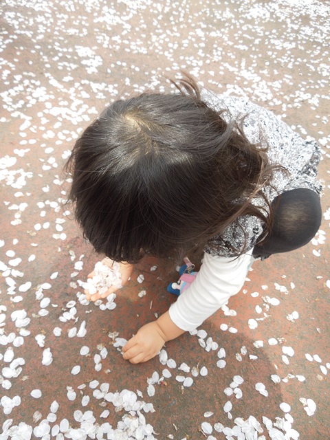 DSCN2161.jpg