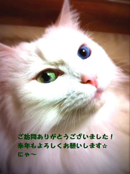 モコ