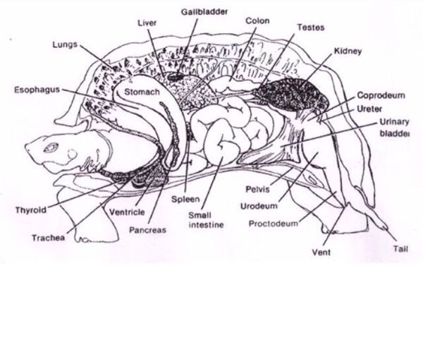 rblog-20151029050434-01.jpg