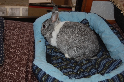 DSC_0010.JPG