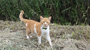 20150924_121606.jpg