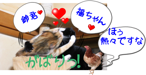 IMG_1502.png