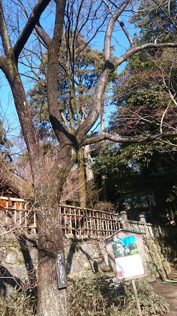 2016-01-31 09.58.28.jpg